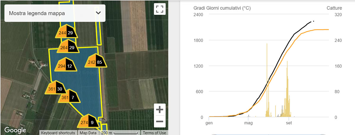 Piattaforma con focus sulle fototrappole per il monitoraggio di Lobesia botrana: si nota molto bene la comparazione delle stagioni 2021 e 2022: in arancione il numero di catture del 2021 ed in nero le catture di questa stagione 2022.